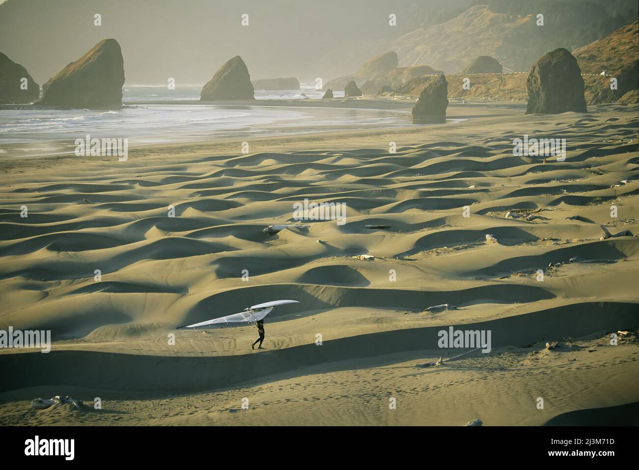 A windsurfer carries his board and sail over the sand dunes.; Oregon. Stock Photo