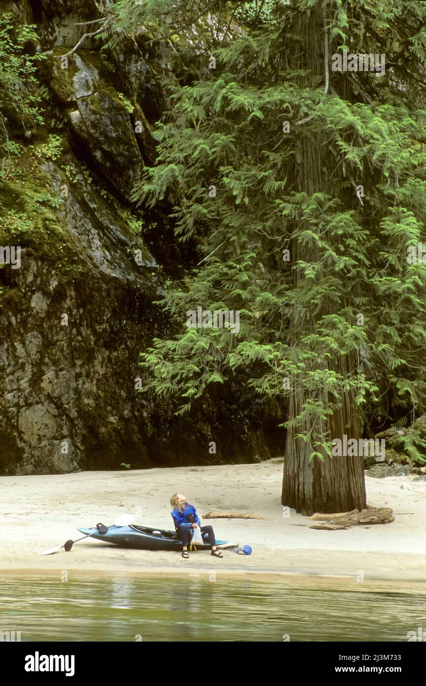 A kayaker rests on a sand beach under a big tree on the Lochsa River.; Lochsa River, Idaho. Stock Photo