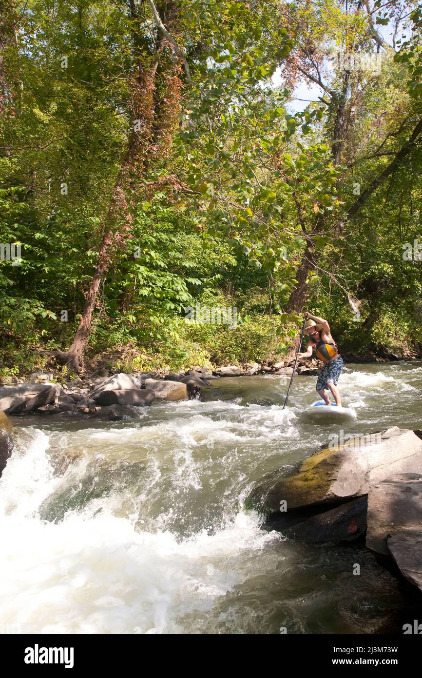 A man on a stand up paddle board runs rapids in the Potomac River.; Bethesda, Maryland Stock