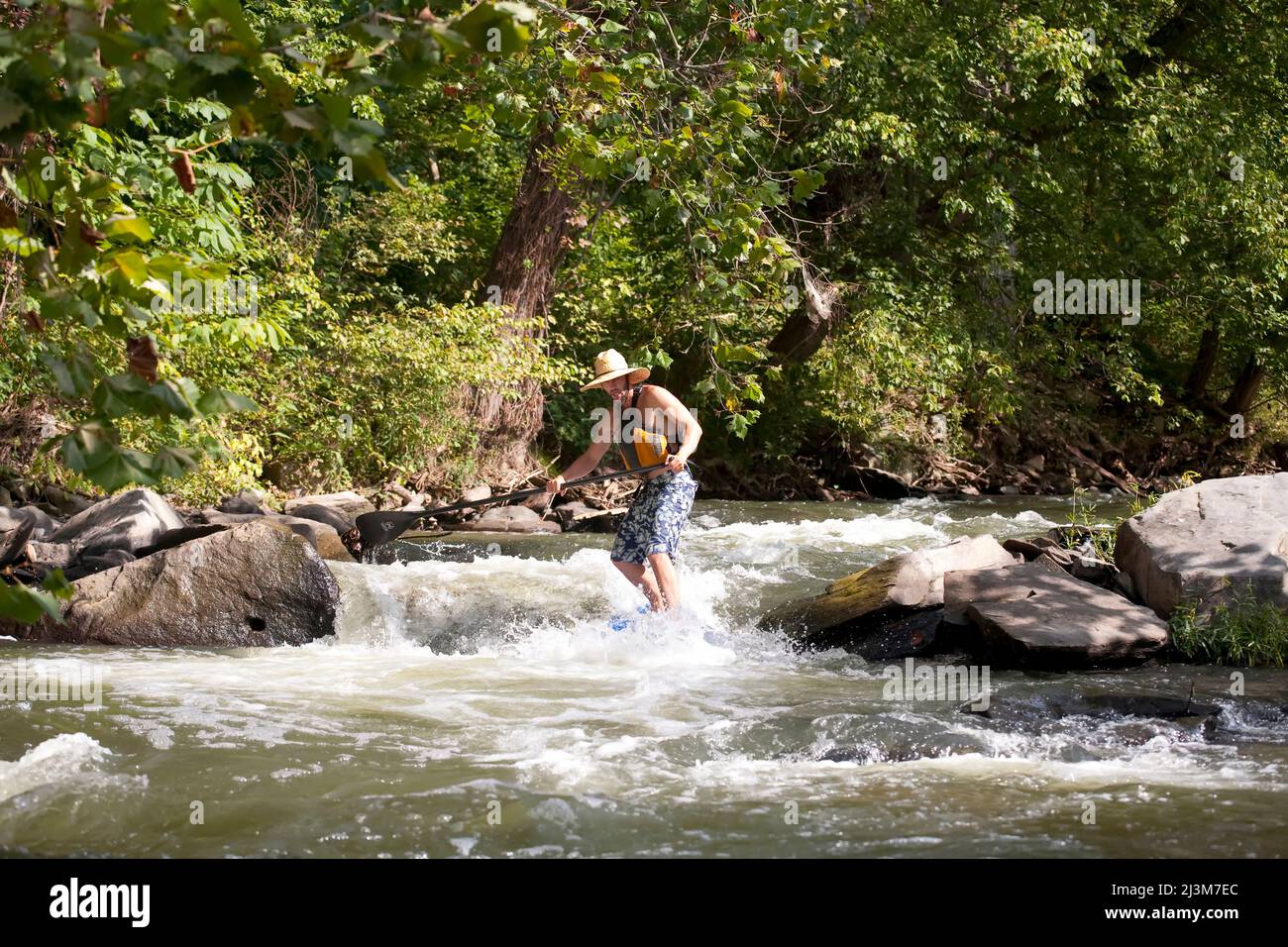 A man on a stand up paddle board runs rapids in the Potomac River.; Bethesda, Maryland Stock