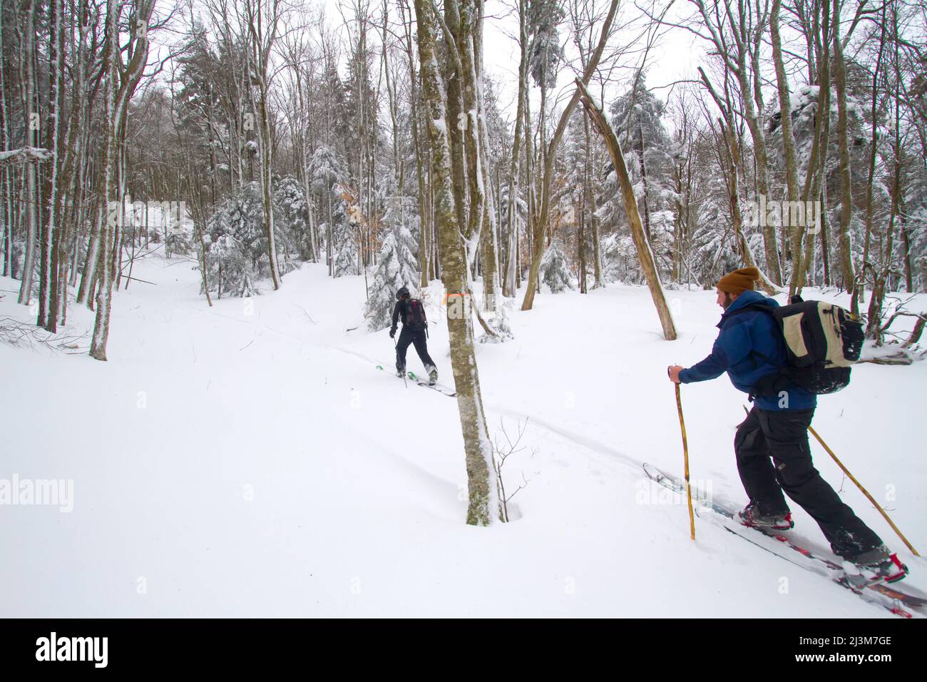 washington face model hires stock photography and images Alamy