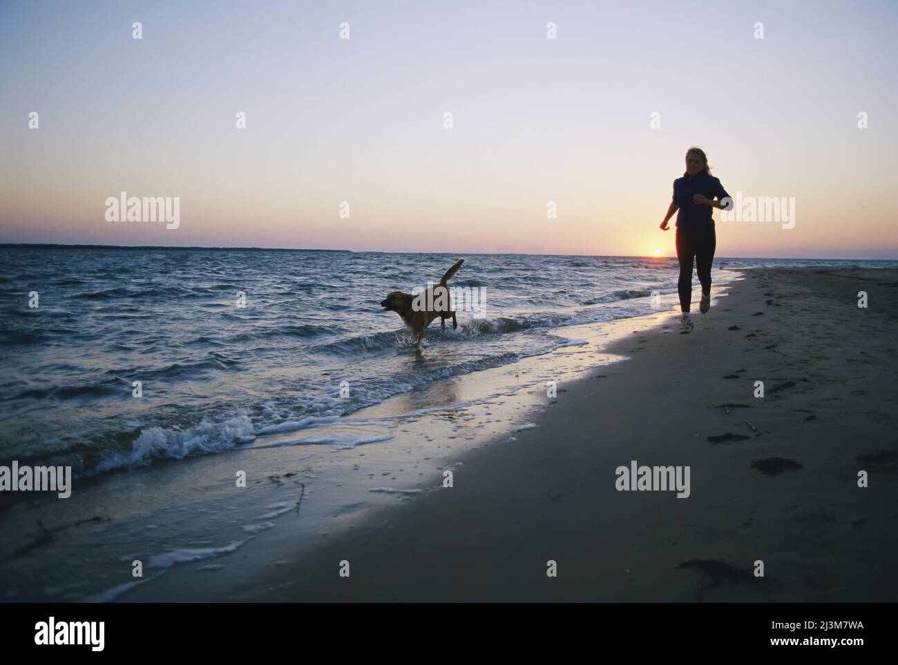 Woman and dog running on beach, Nags Head, North Carolina.; NAGS HEAD, NORTH CAROLINA Stock