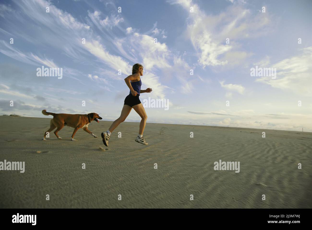 A woman jogs on the beach with her dog.; Nags Head, North Carolina