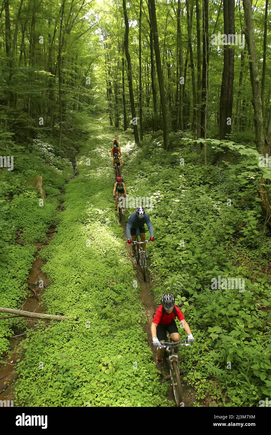 Mountainbikers on Props Run, a single track trail.; Monongahela National Forest, Slatyfork, West Virginia. Stock Photo