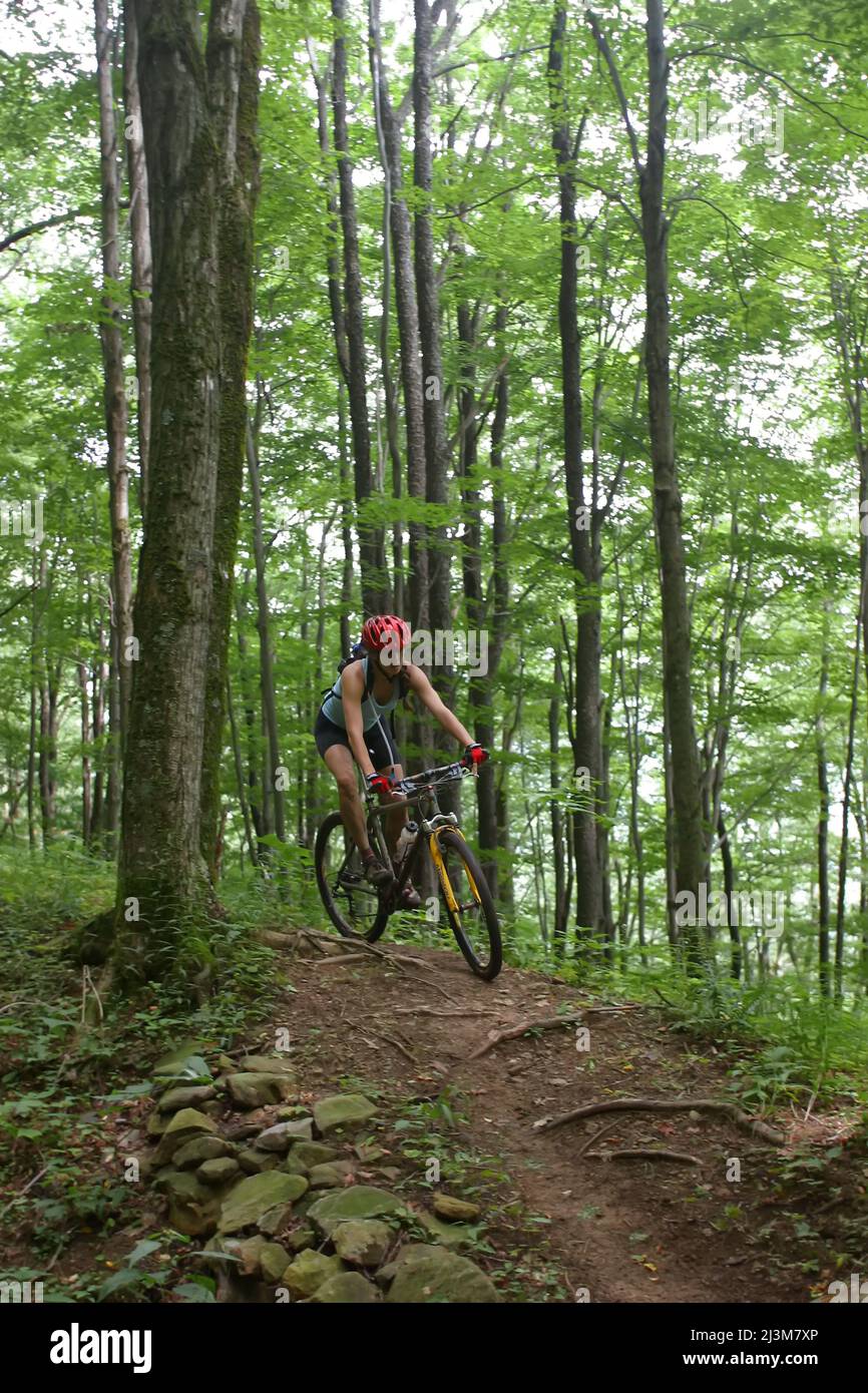 A woman rides a mountain bike on Props Run, a single track trail.; Monongahela National Forest, Slatyfork, West Virginia. Stock Photo