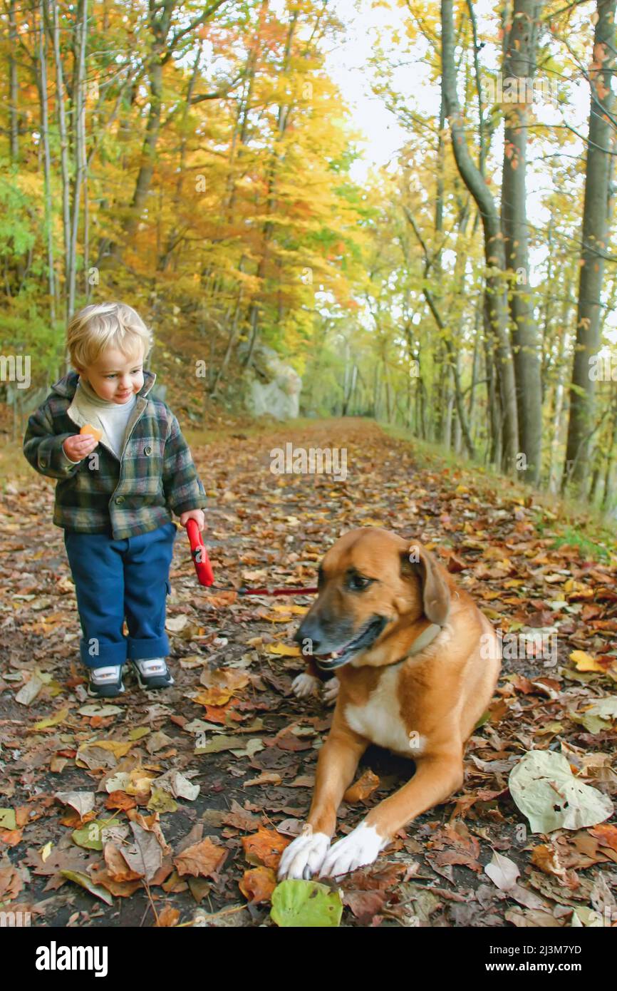 A little boy and his dog on a leaf covered road in the fall.; Cabin John, Maryland. Stock Photo
