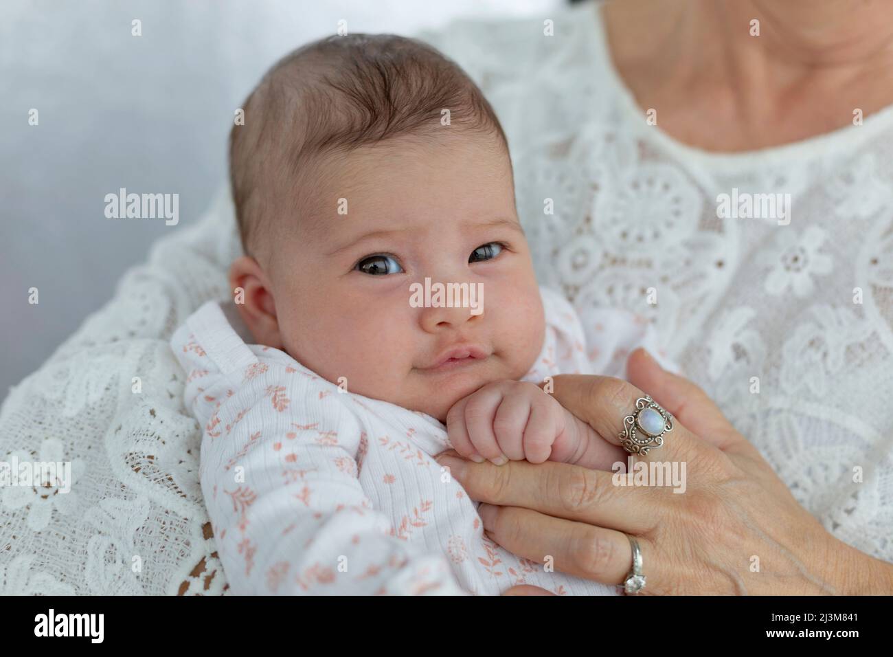 Portrait of a baby girl being held by her grandmother; Studio Stock Photo