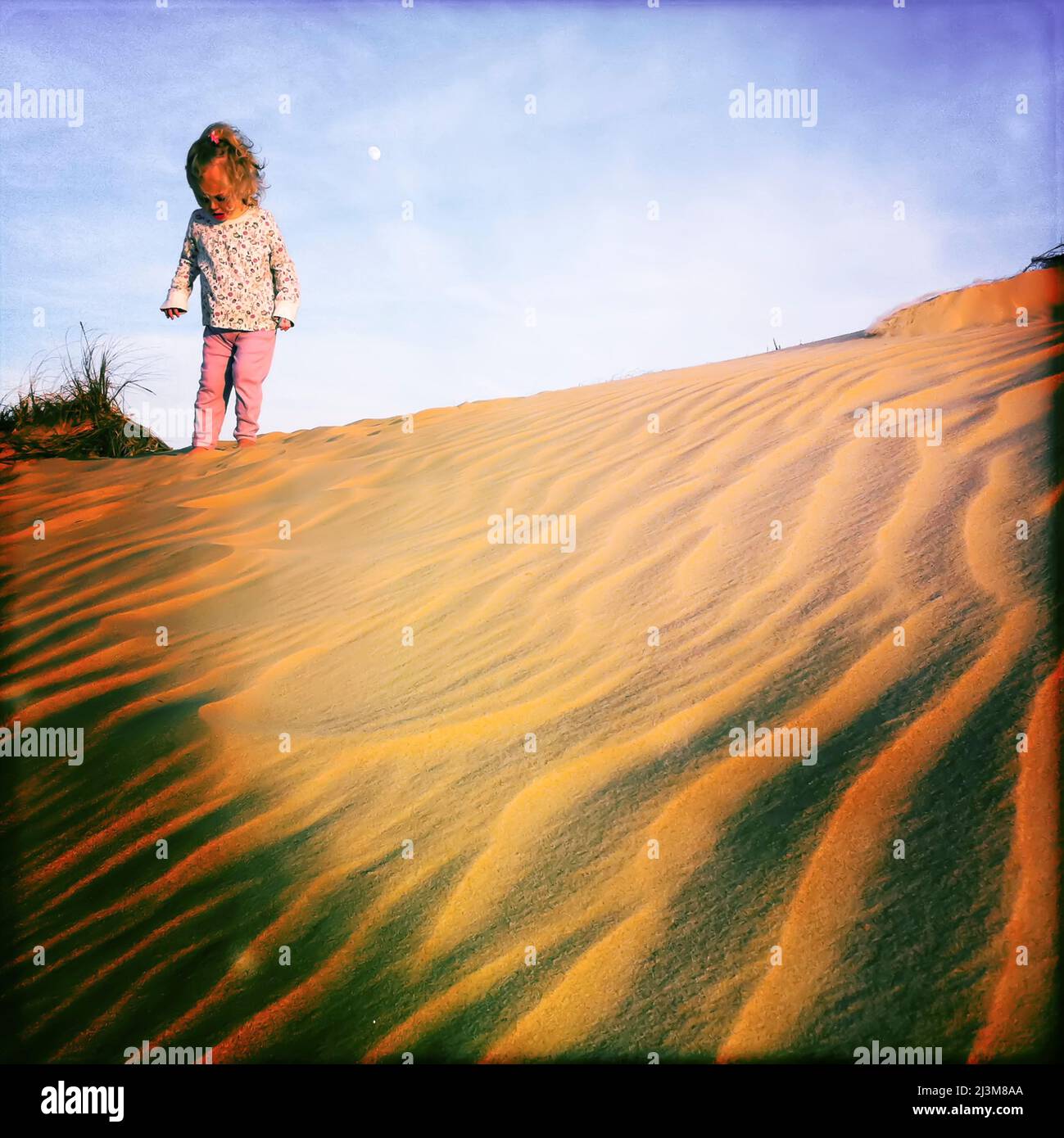 A two year old girl on a sand dune.; Jockeys Ridge State Park, Nags