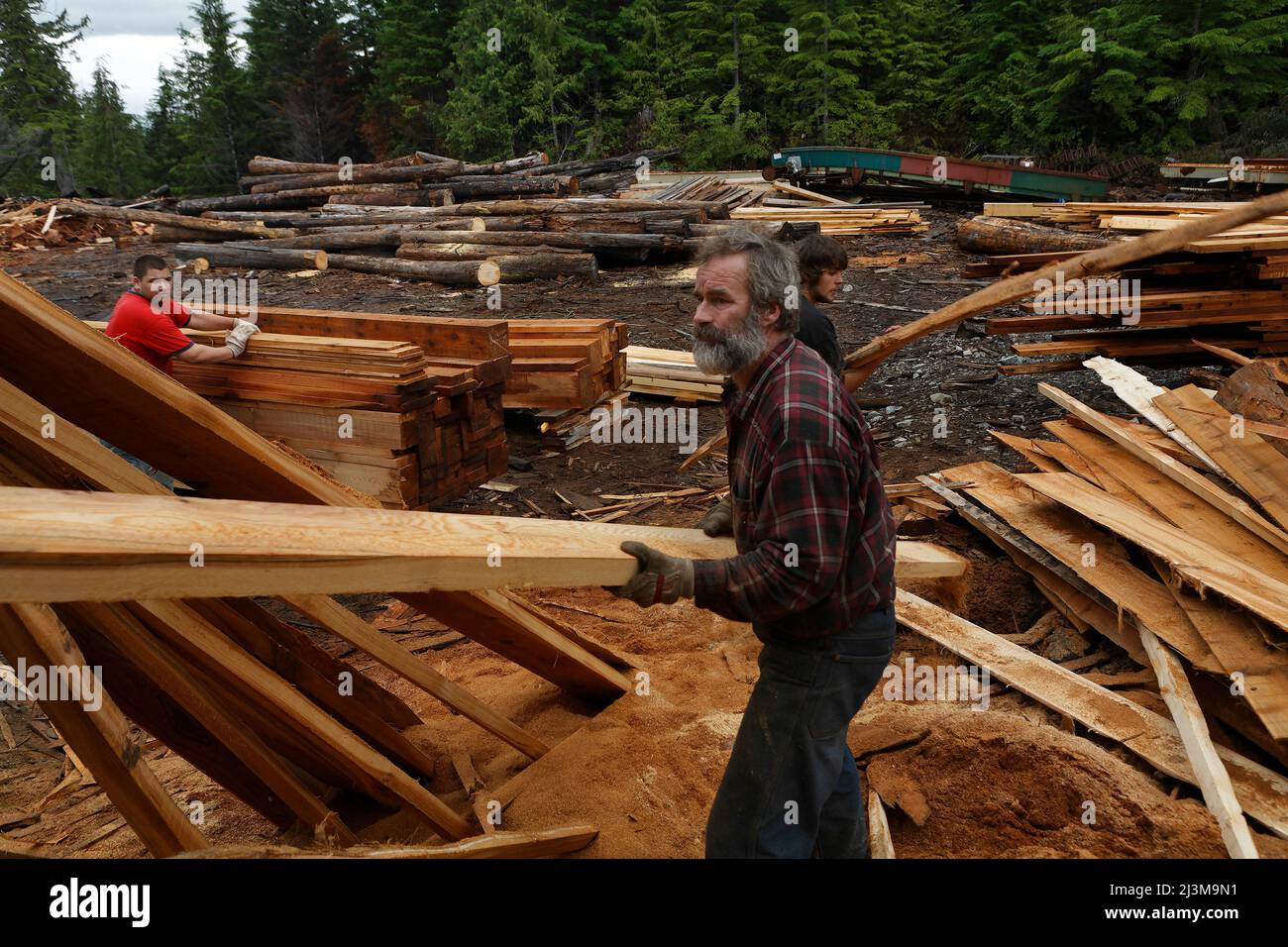 Timber is cut into cedar shakes and lumber for building and construction creating jobs for locals at a small sawmill operation on Prince of Wales I... Stock Photo