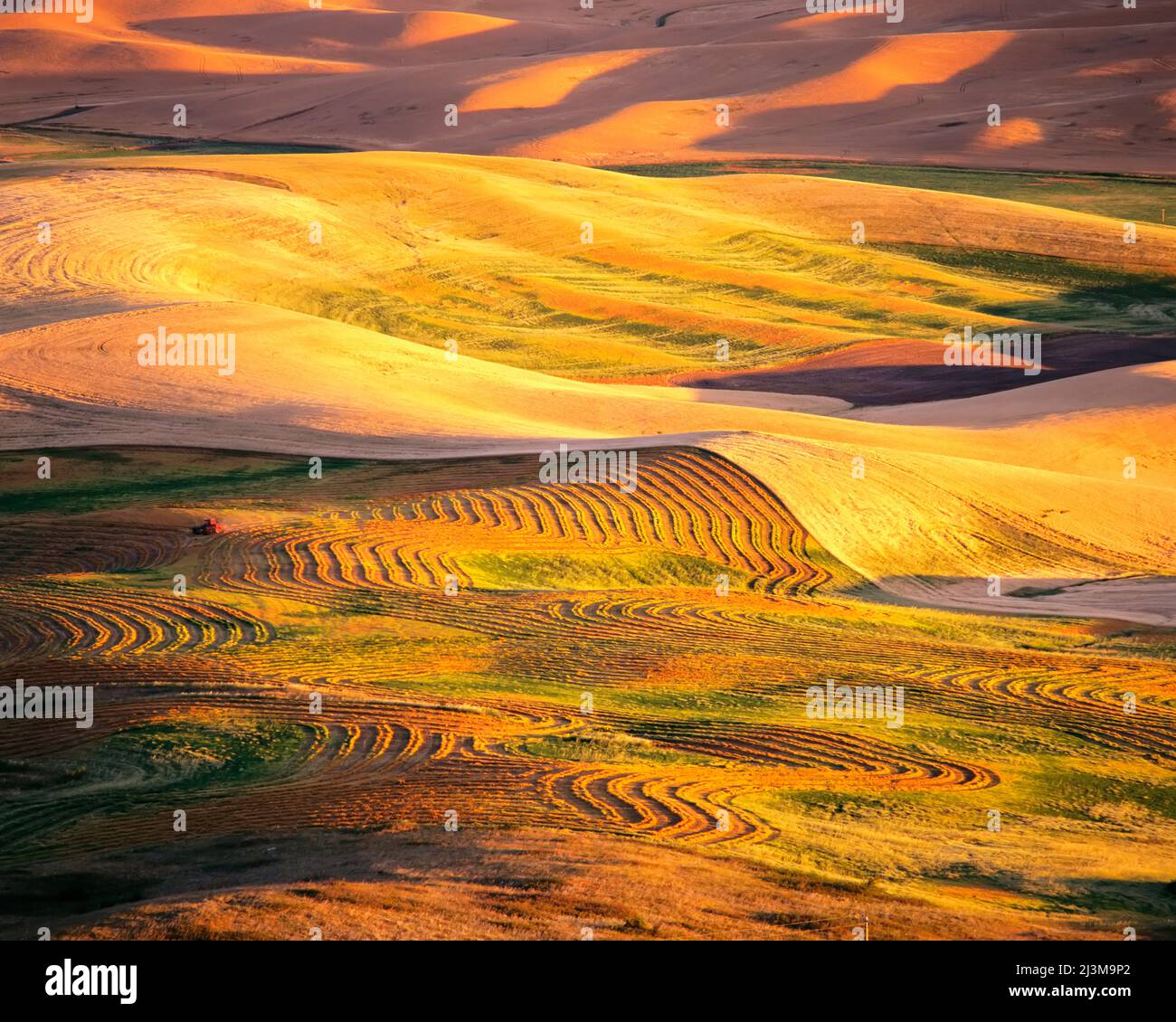 1995, Washington State, USA --- Croplands in the Palouse Hills --- Image by © Craig Tuttle/Corbis Stock Photo