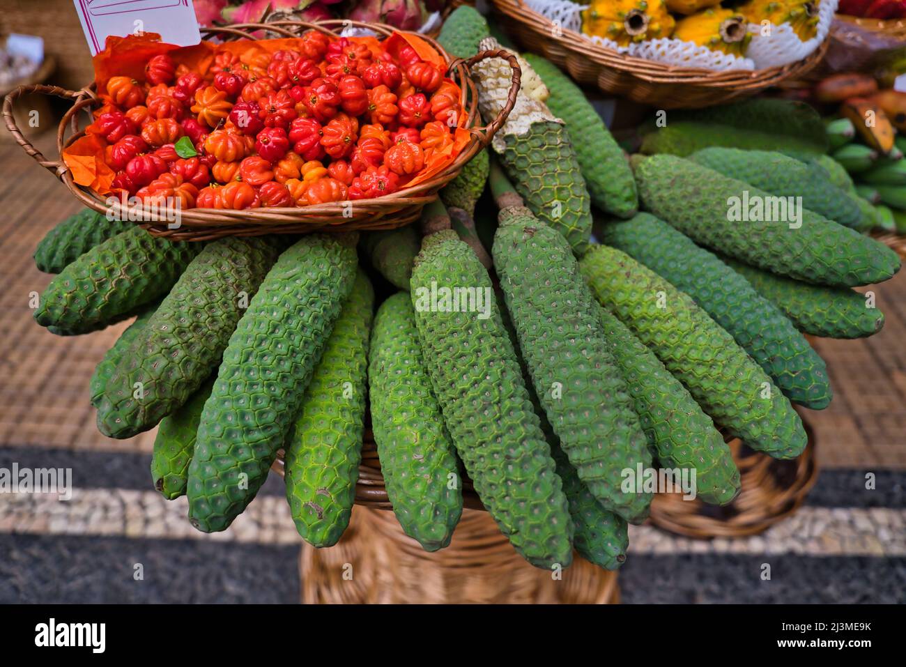Fruit of monstera deliciosa hi-res stock photography and images - Alamy