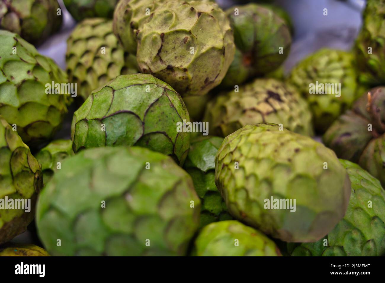 Macro shot of Cherimoya fruits. The cherimoya is scientifically named Annona Cherimola on the market in Funchal, Madeira, Portugal Stock Photo