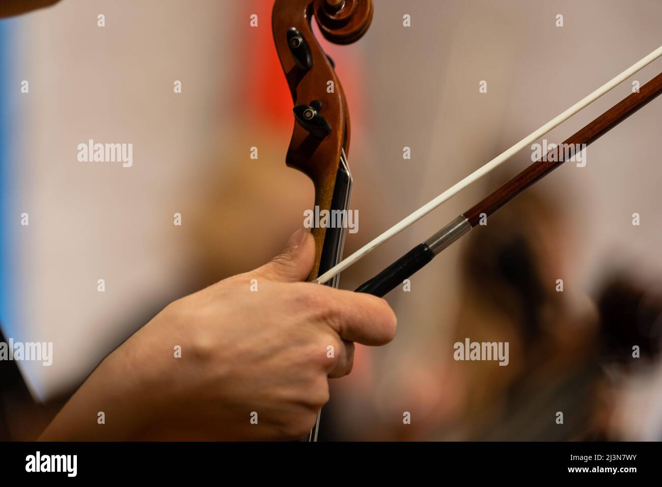 Strings Of A Violin