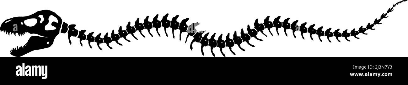 Dinosaur skeleton crawling decoration single element on white Stock Vector
