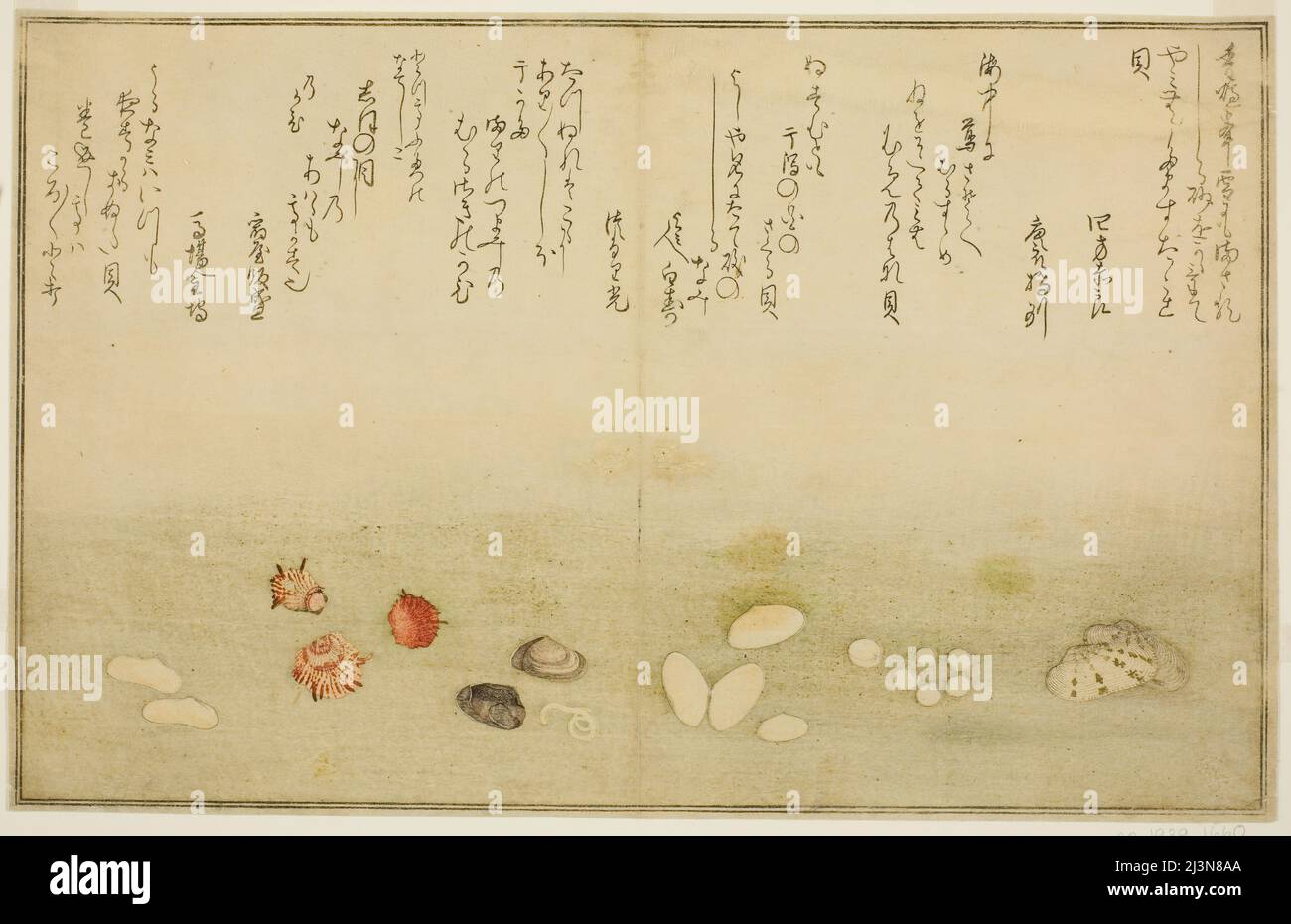 Sudare-gai, hana-gai, sakura-gai, mumeno-gai, nadeshiko-gai, and kinuta-gai, from the illustrated book &quot;Gifts from the Ebb Tide (Shiohi no tsuto)&quot;, Japan, 1789. Stock Photo