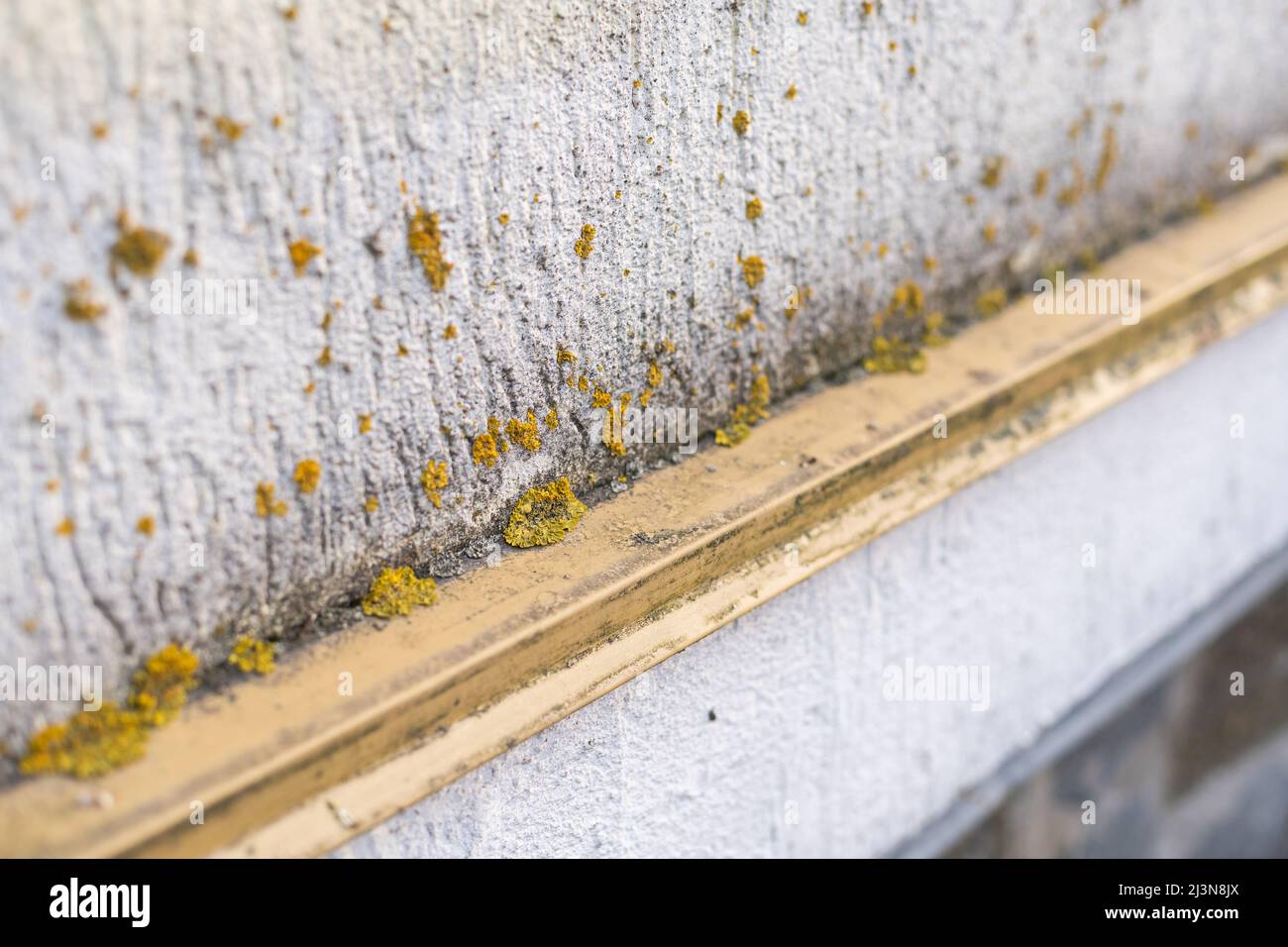 The moldy and dirty side of an abandoned white house in desperate need of cleaning Stock Photo