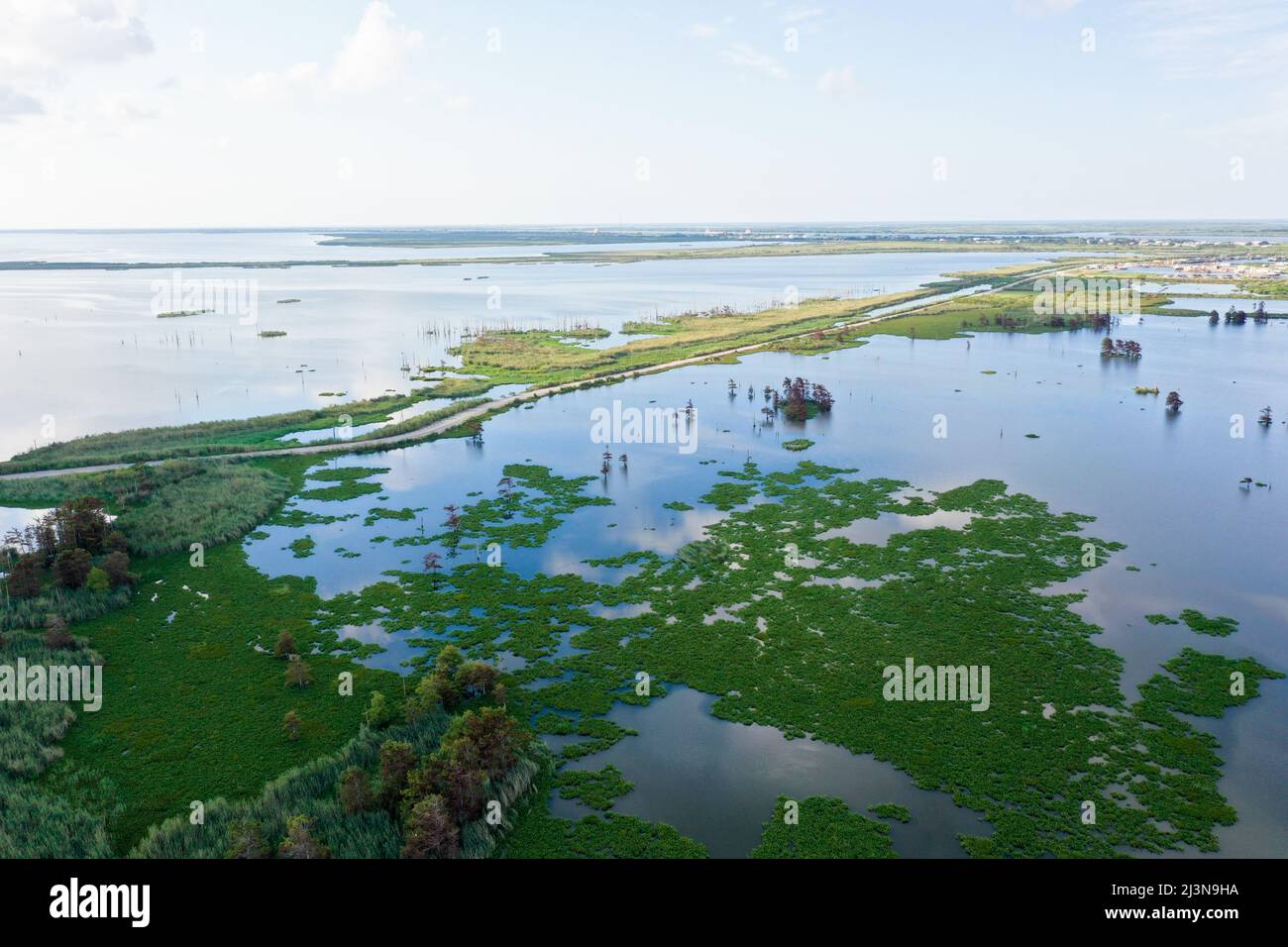 Aerial view of a swamp in Louisiana, close to the Mississippi river delta. Stock Photo