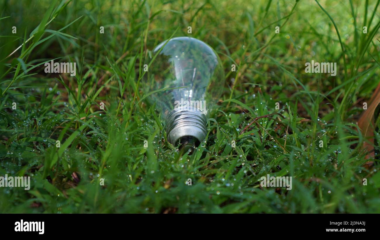 Light bulb on a green background Stock Photo - Alamy