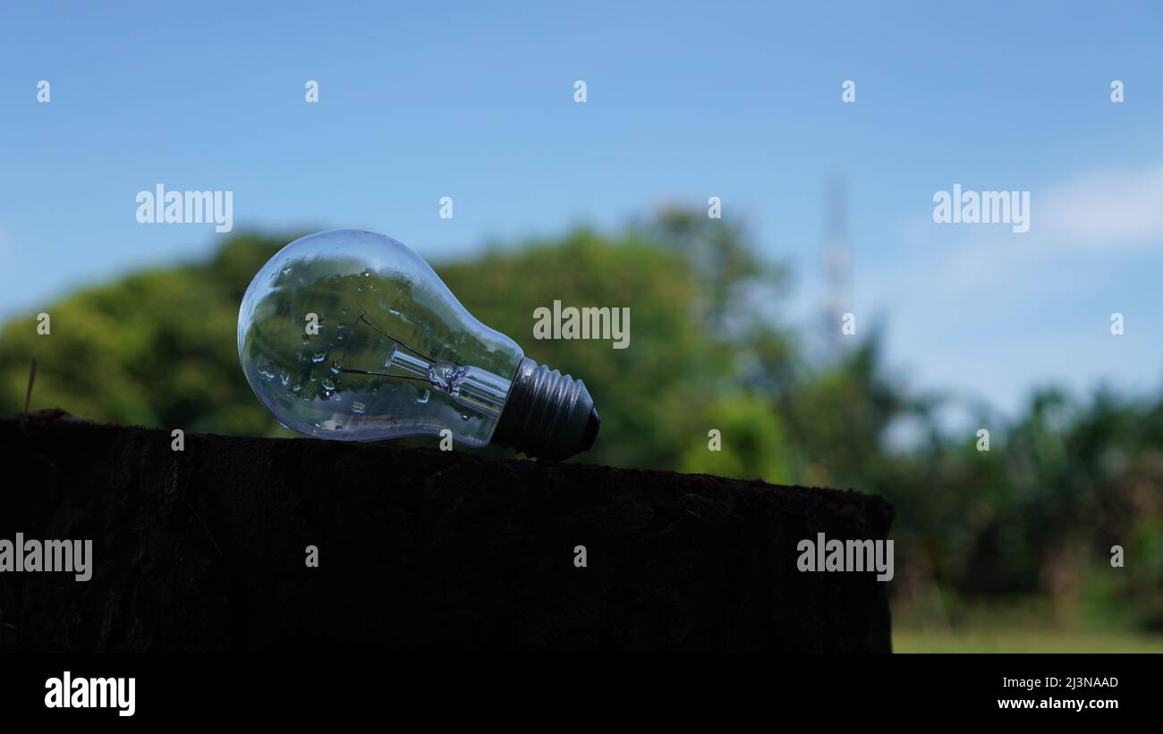 Light bulb on a green background Stock Photo - Alamy