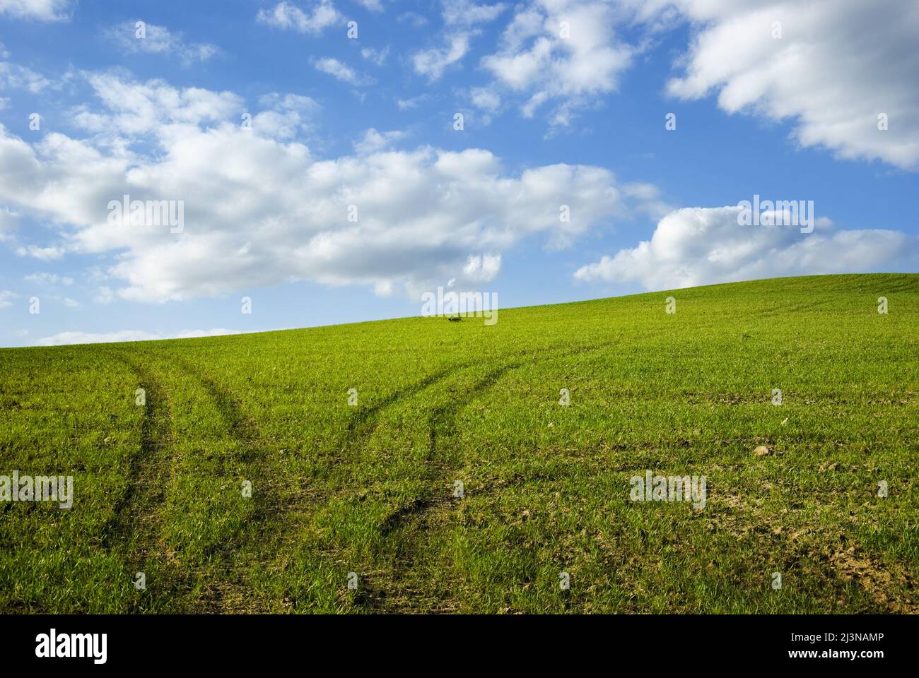 two tracks on green grass Stock Photo