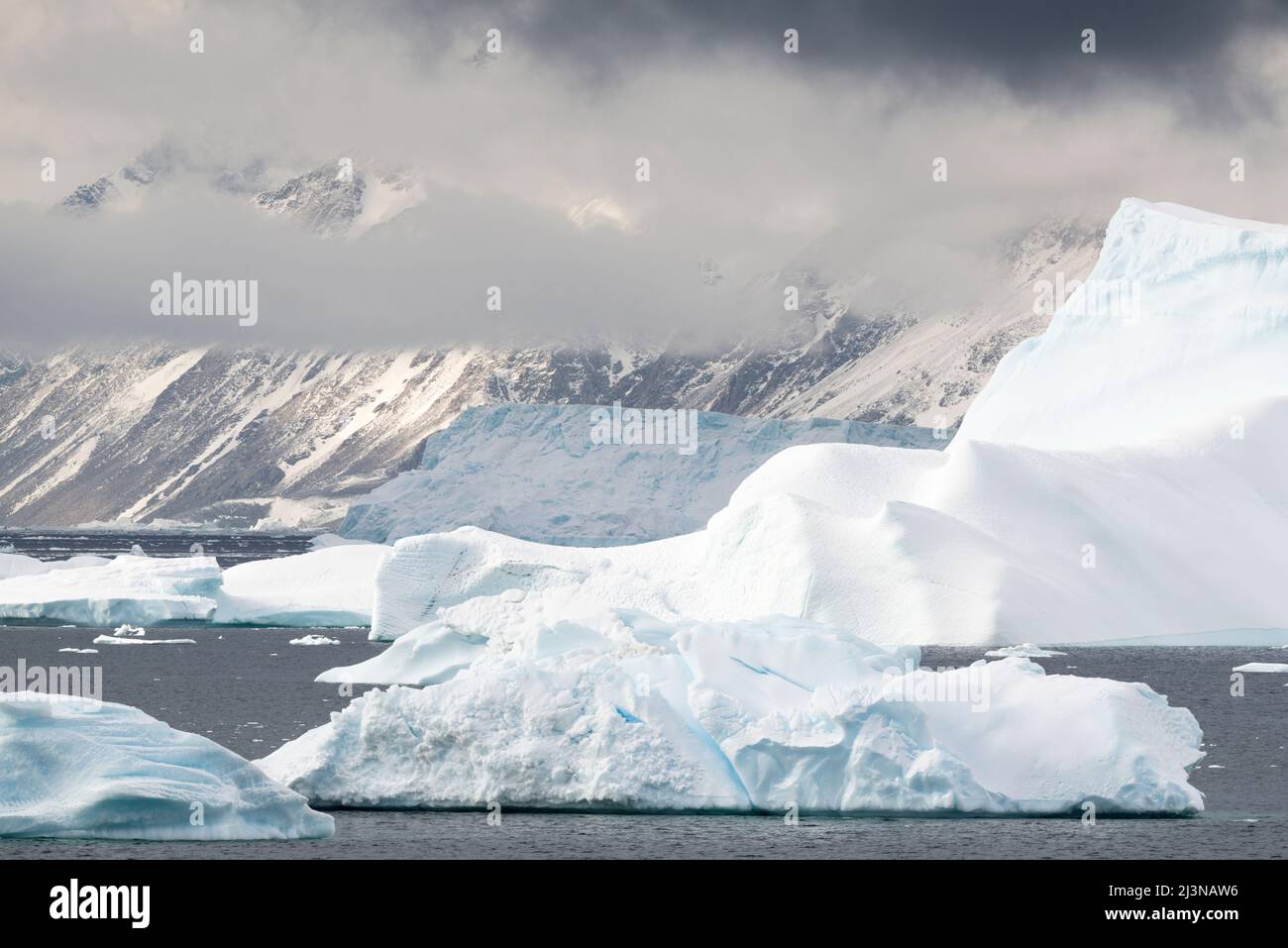 Afternoon light, icebergs with mountains in the background, Marguerite Bay, Antarctica, Stock Photo