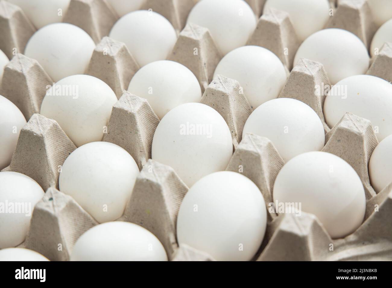 A whole pack of fresh eggs Stock Photo Alamy