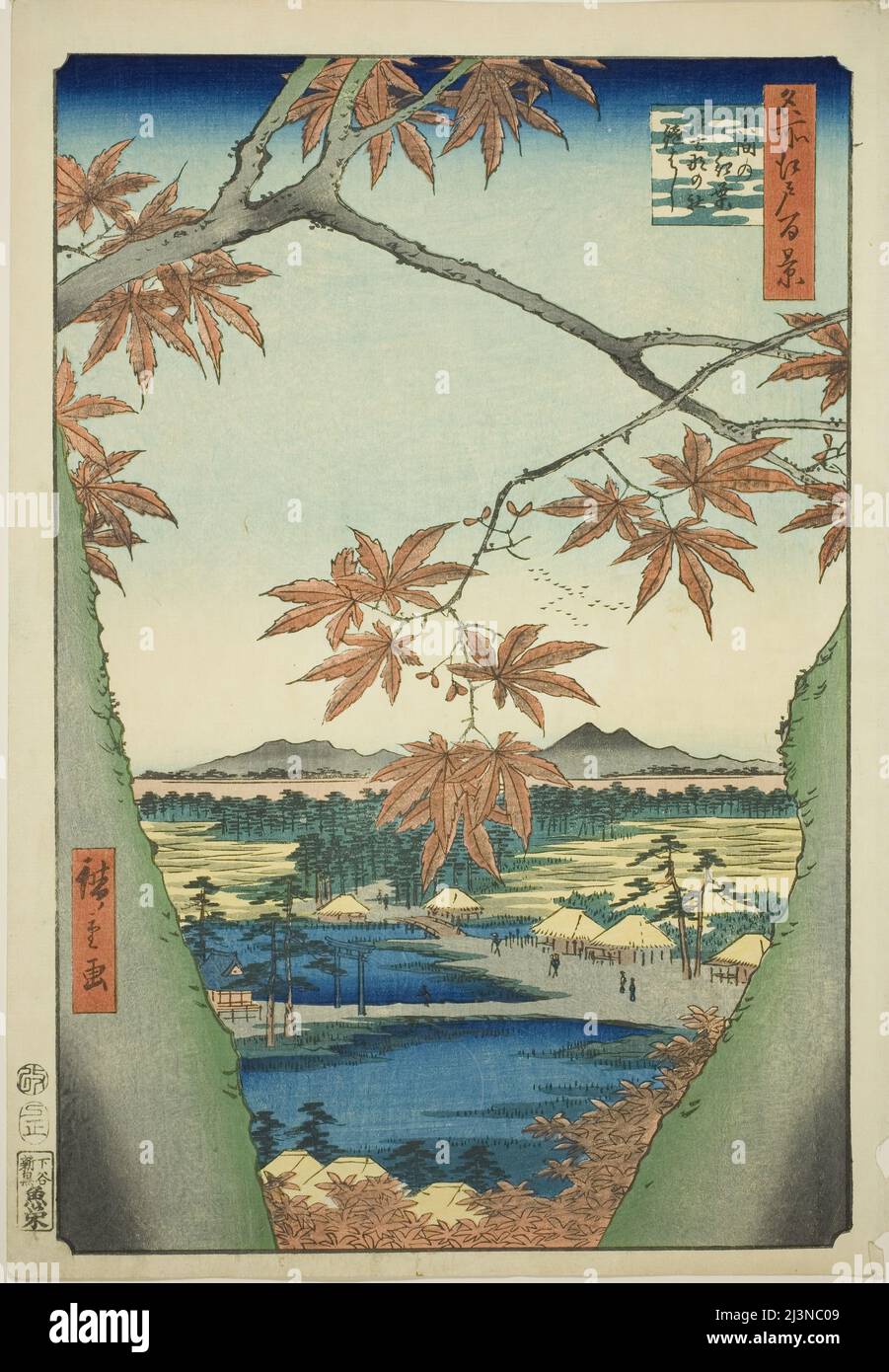 Utagawa Hiroshige, woodblock print, Maple Trees at Mama