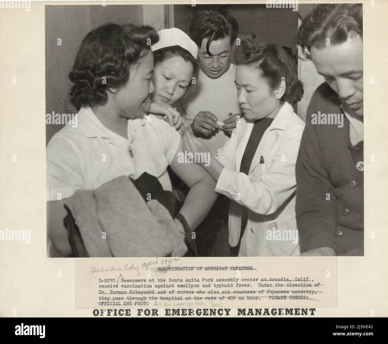 Japanese relocation, California. Newcomers at Santa Anita Park Assembly Center in Arcadia, California, receive vaccination against smallpox and typhoid fever. Under direction of Dr. Norman Kobayshi and nurses who also are evacuees of Japanese ancestry, they pass through the hospital at a rate of 400 an hour. Evacuees are transferred later to War Relocation Authority centers for the duration. Stock Photo