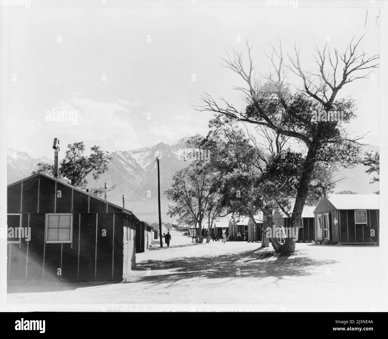 Japanese relocation, California. A view of the quarters at Manzanar, California, a War Relocation Authority Center where evacuees of Japanese ancestry will spend the duration. Mount Whitney, highest peak in the United States, is in the background. Stock Photo