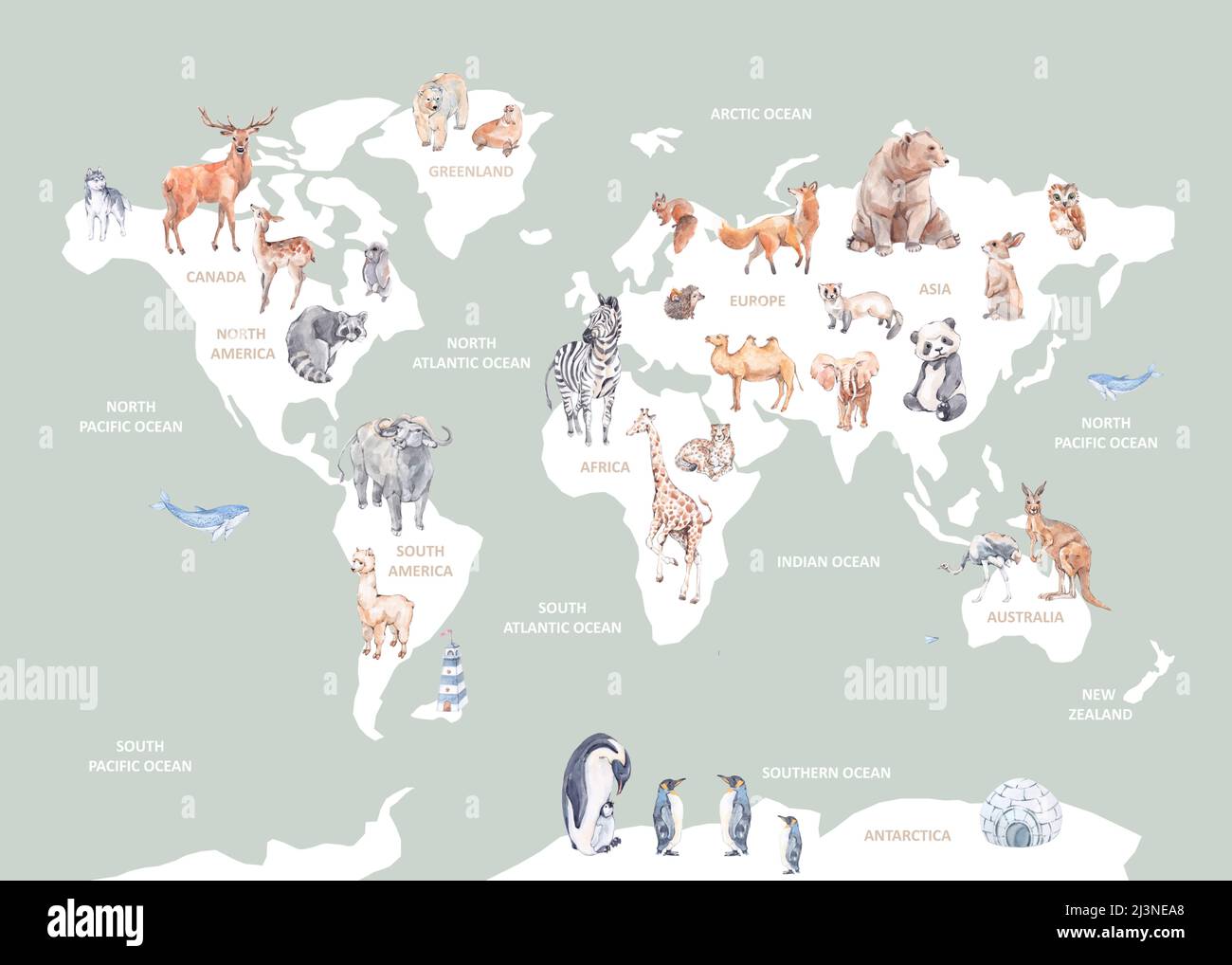 Kids Animal World Map, Print Playroom Educational Print, Mint Colour