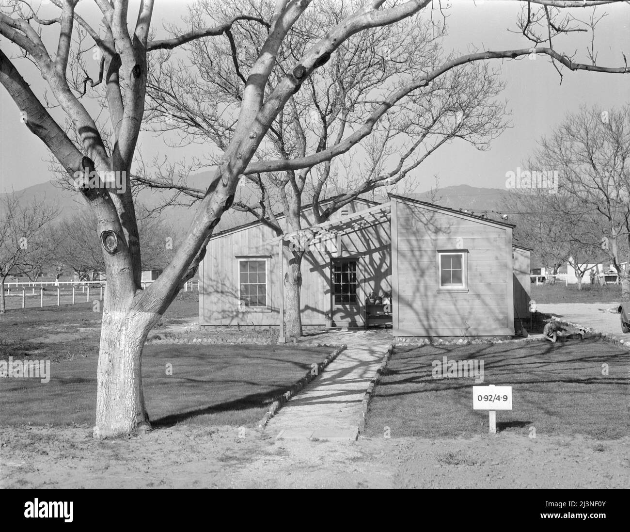 El Monte federal subsistence homesteads. One hundred homes, all occupied, each with three