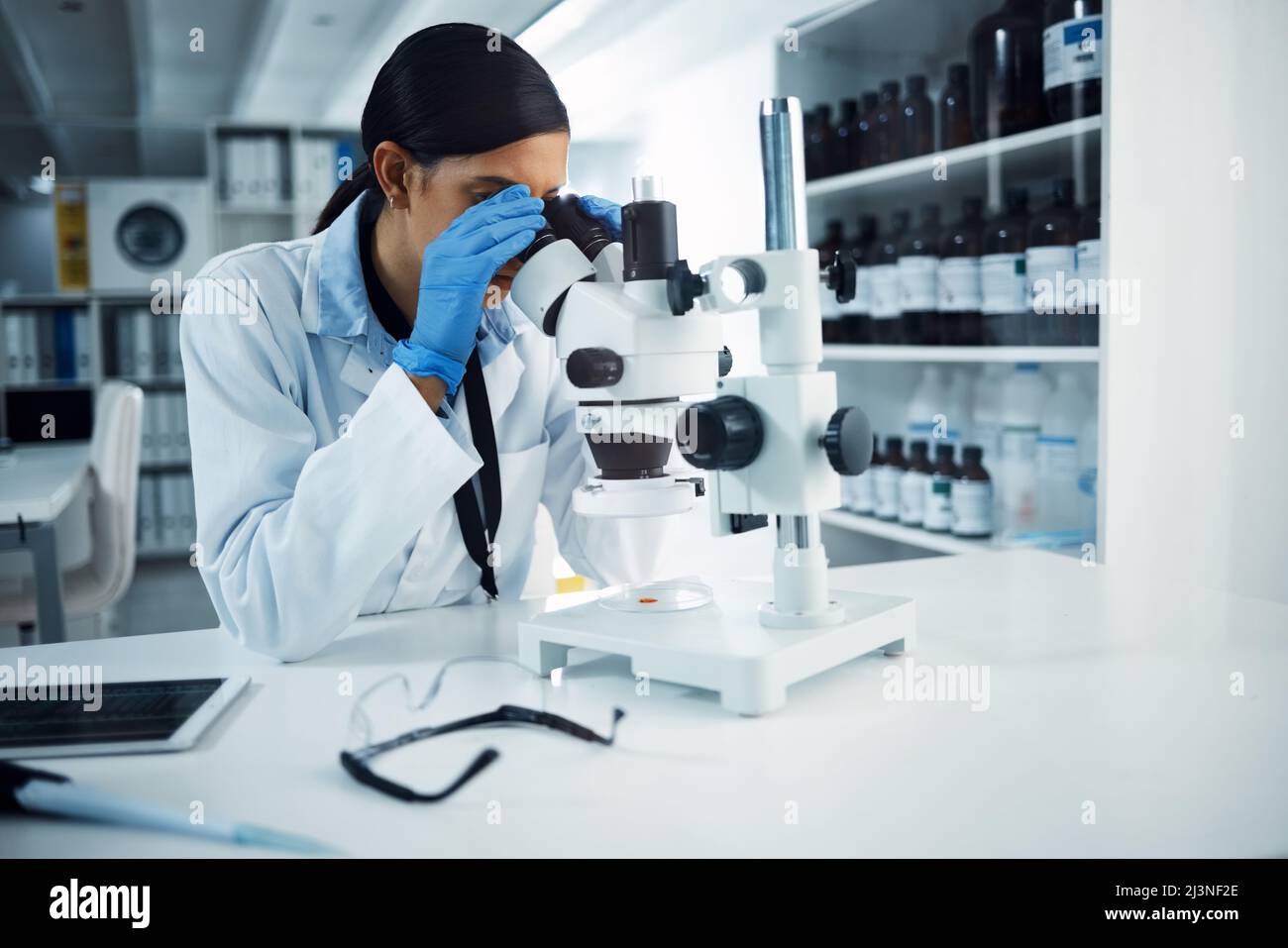 Ill find you and Ill fix you. Shot of a young scientist using a microscope in a laboratory. Stock Photo
