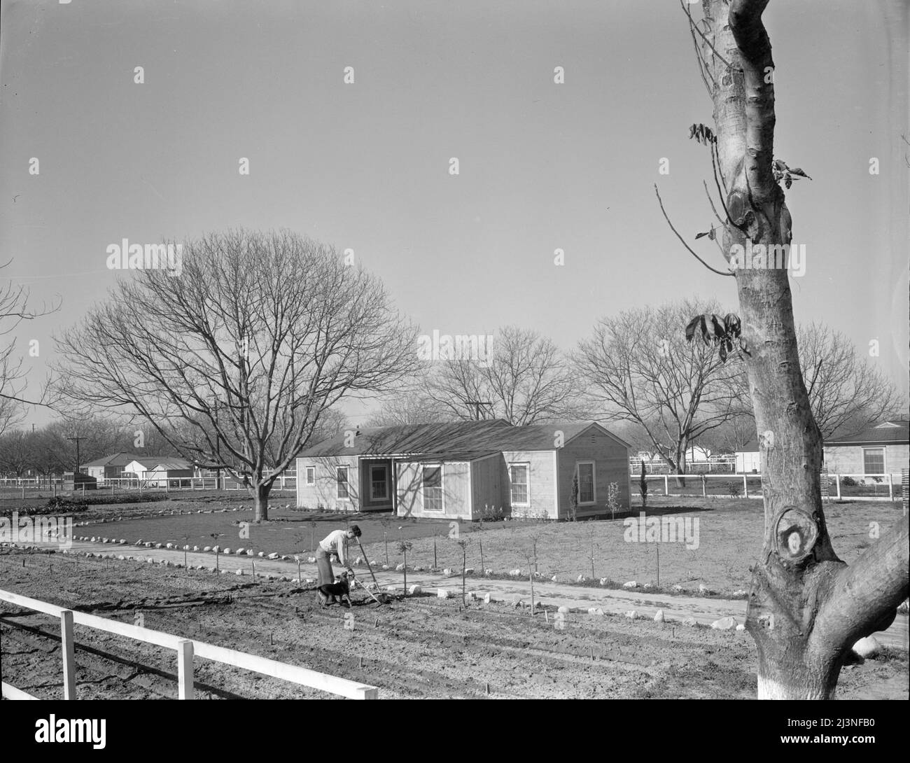 El Monte federal homesteads. One hundred occupied homes, each with