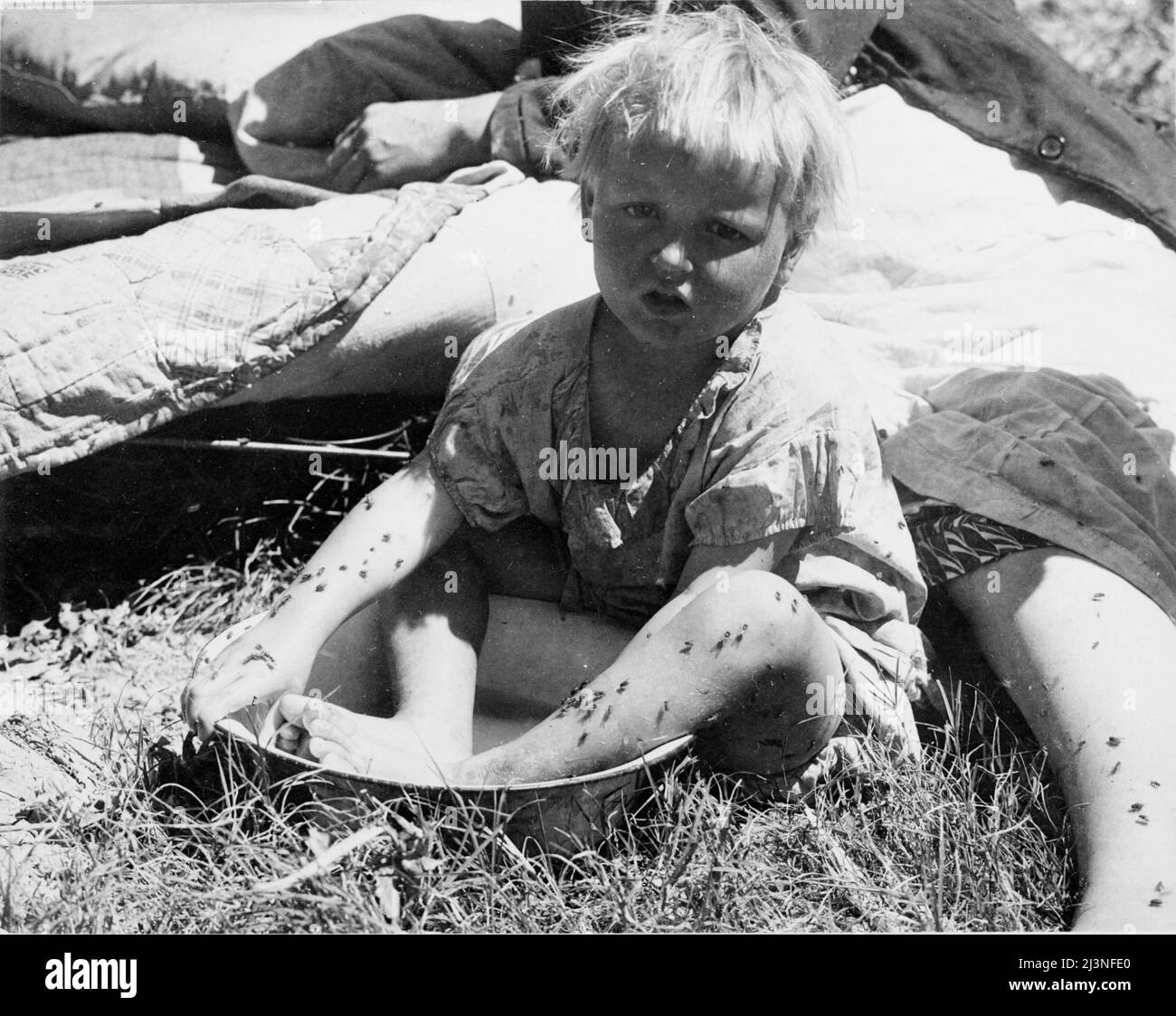 Cleanliness. Southern California. Oklahoma refugees camping in Imperial Valley, California. Stock Photo