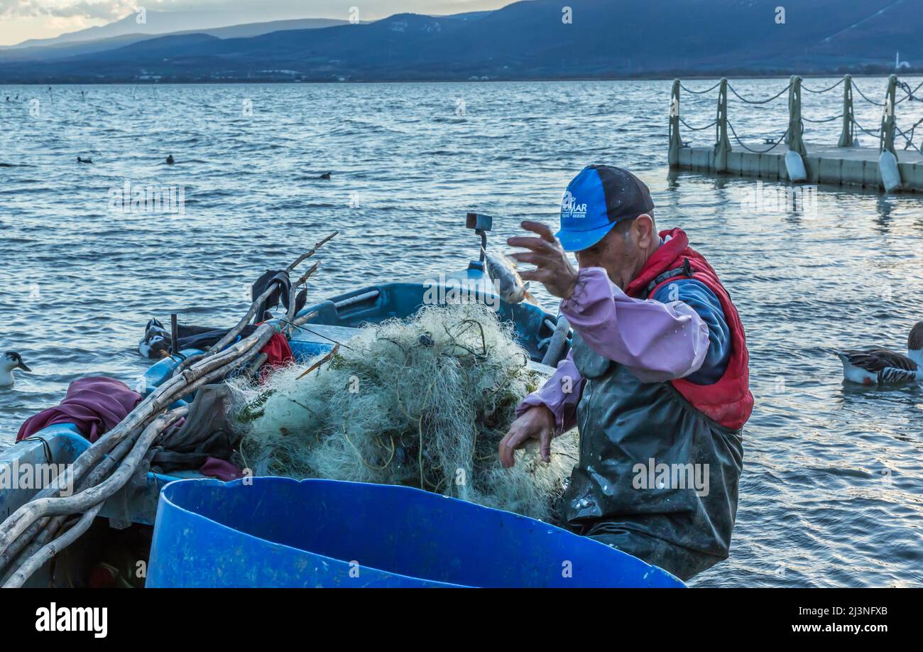 Gölyazı fisheries sell their caught fish at auction Stock Photo Alamy