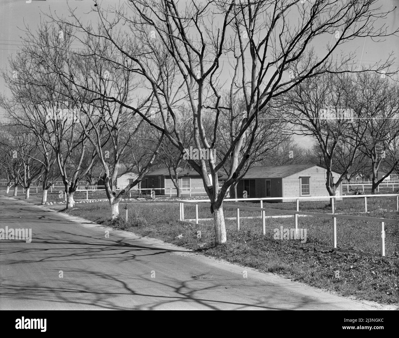 El Monte Federal Subsistence Homesteads One Hundred Homes All El monte federal subsistence homesteads one hundred homes all