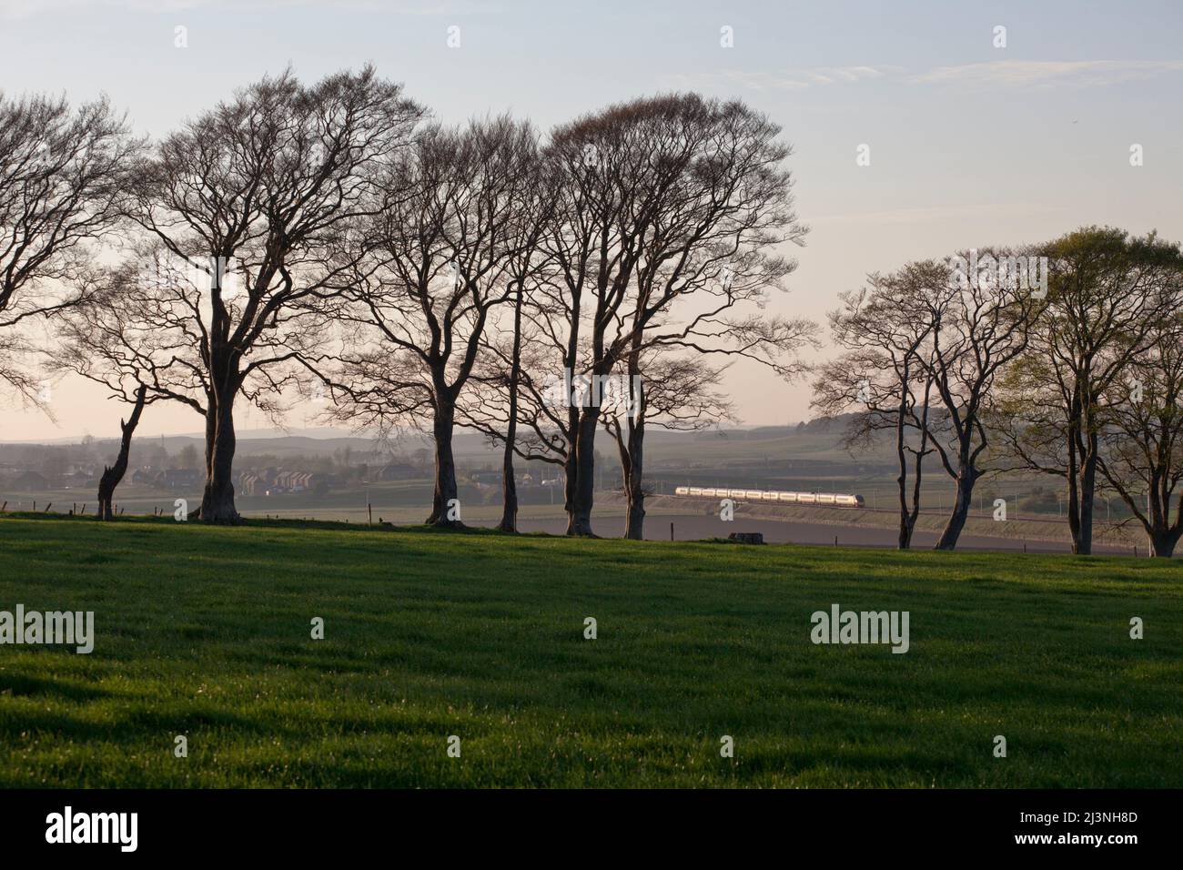 Virgin trains Alstom Pendolino train passing the countryside at Carstairs on the west coast mainline in Scotland Stock Photo