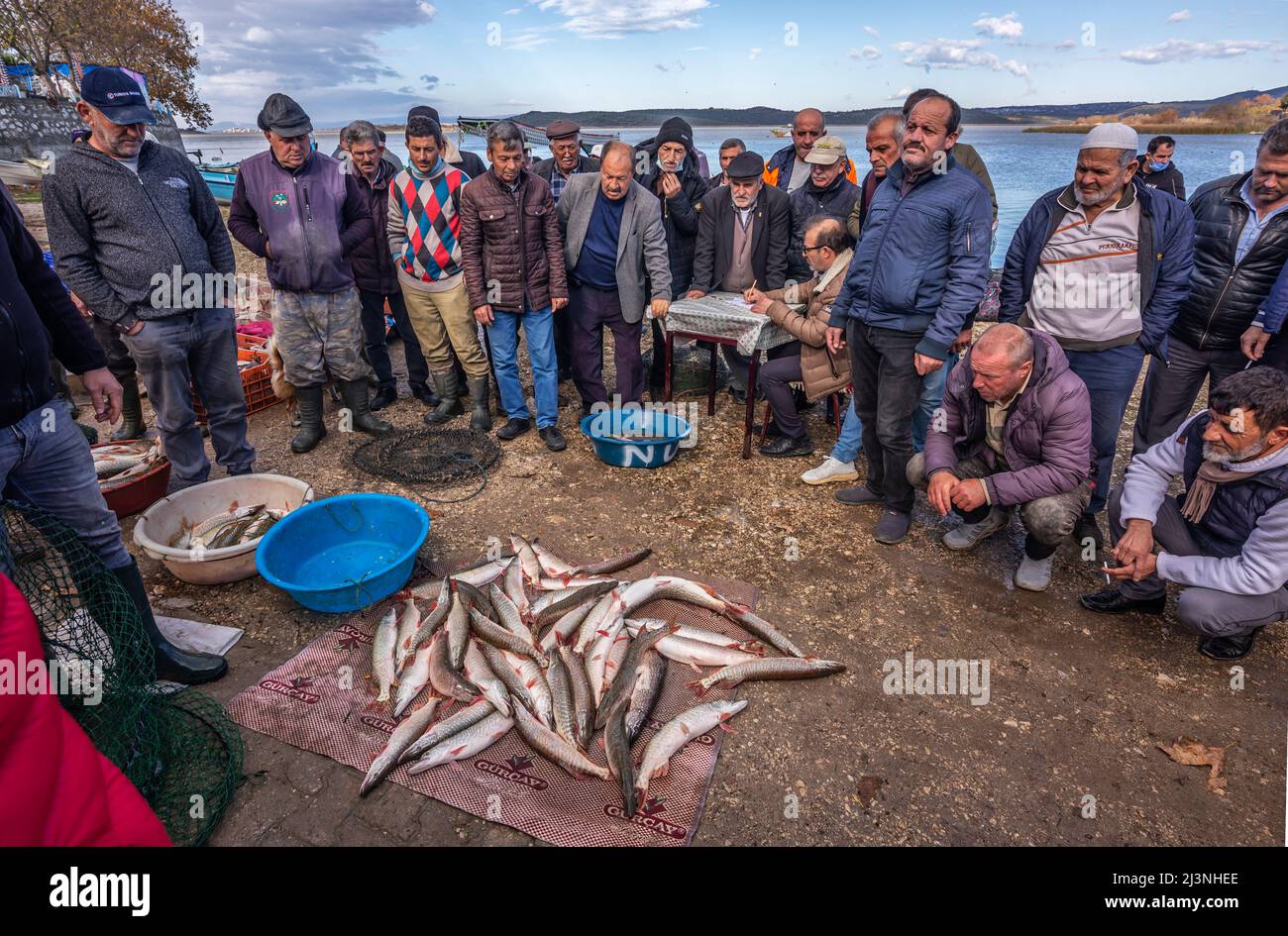 Gölyazı fisheries sell their caught fish at auction Stock Photo Alamy