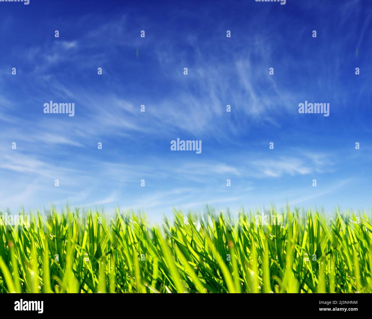 Beautiful spring season in hi-res stock photography and images - Alamy