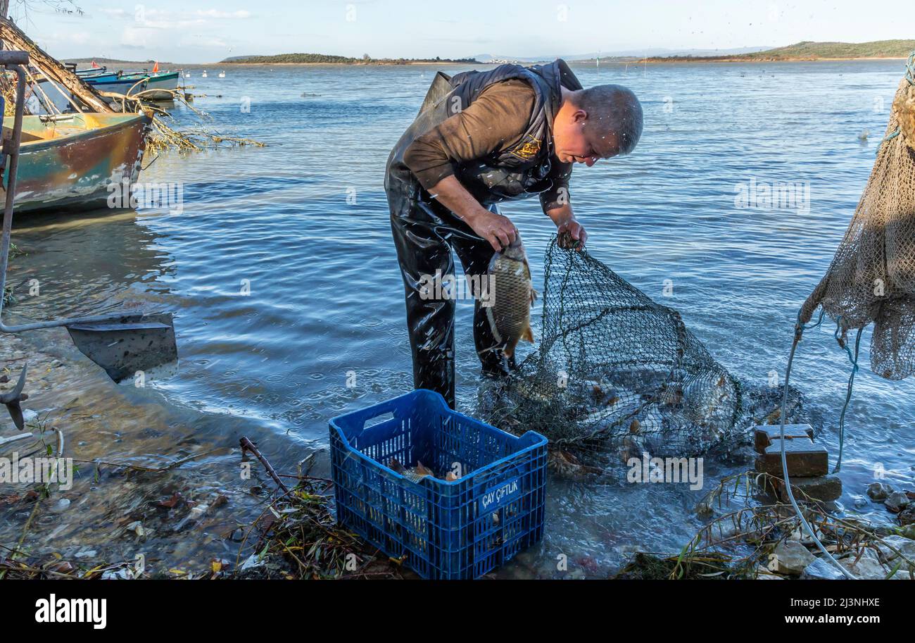 Fish fisheries fishing net boat working hi-res stock photography