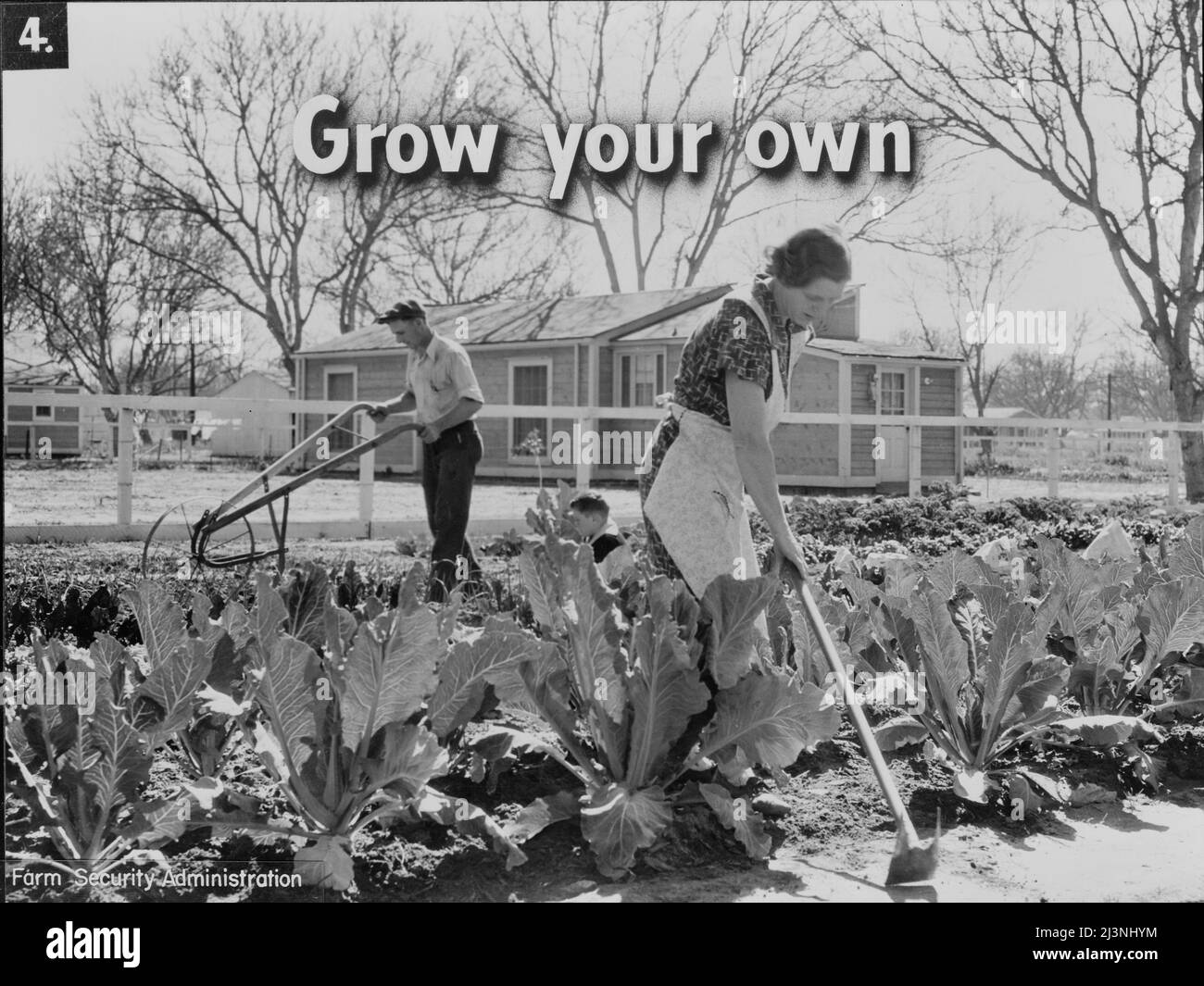 homegrown-food-is-homegrown-wealth-the-foresighted-farmer-makes-a