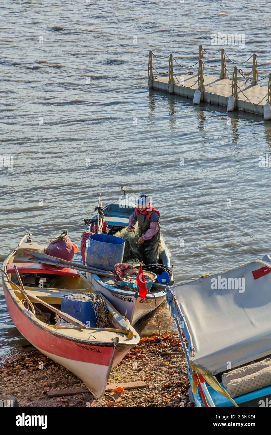 Gölyazı fisheries sell their caught fish at auction Stock Photo Alamy