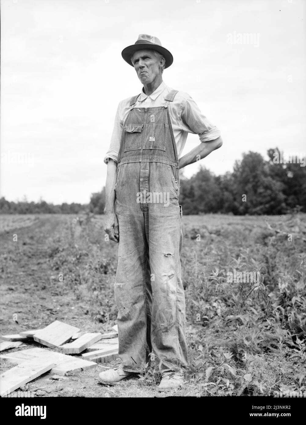 House on the Hill Overalls Flower 90 【公式通販】