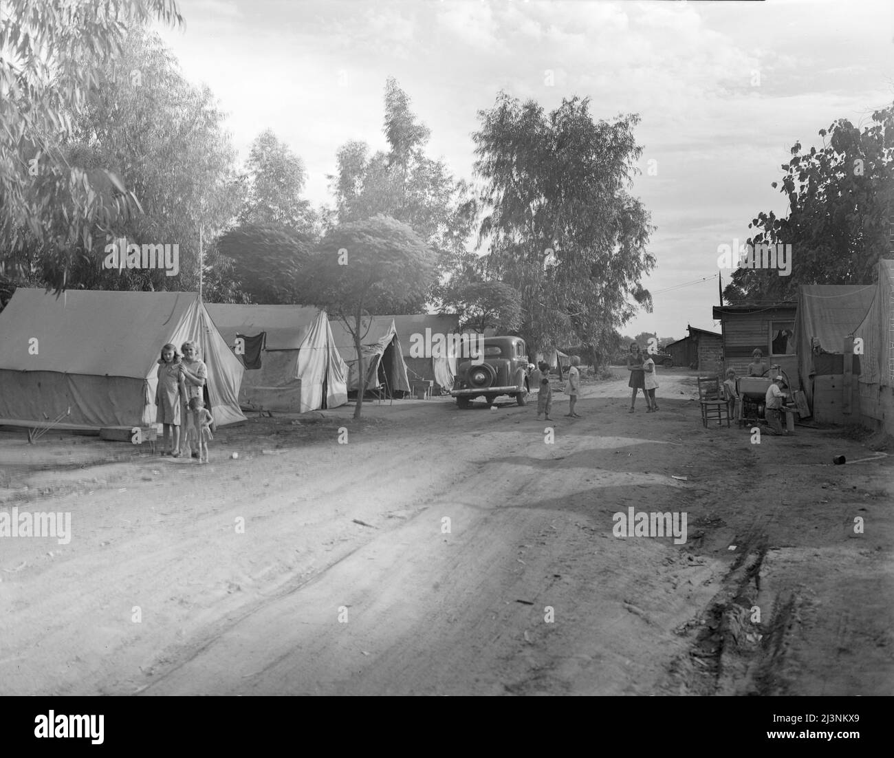 Camp of migratory fruit pickers. Farmington, California Stock Photo Alamy