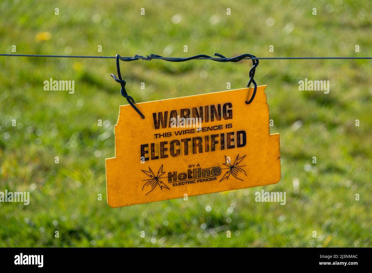 A plastic suspended warning sign from a single strand of electric agricultural fencing with soft focus green grass as background Stock Photo
