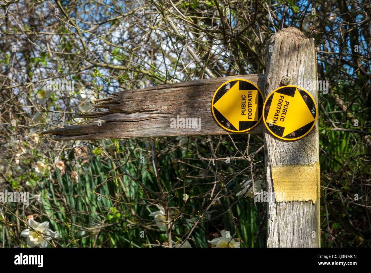A decayed footpath post that has its missing and broken wooden directional arms replaced by plastic sign discs with directional arrows left and right Stock Photo