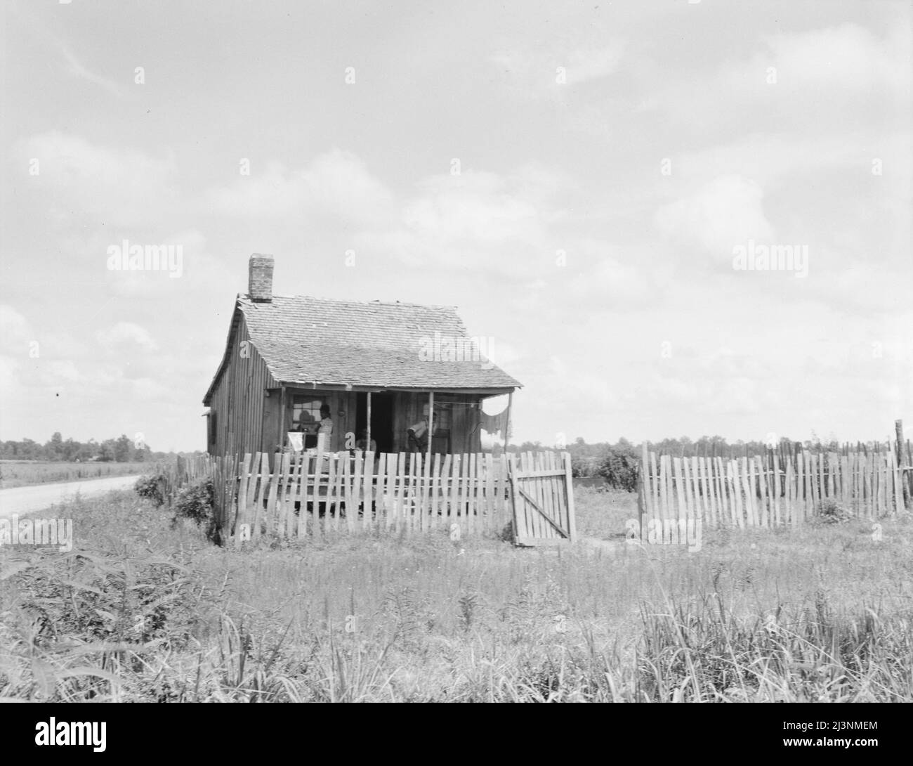 Plantation cotton cabin (Negro). Mississippi Delta, near Vicksburg