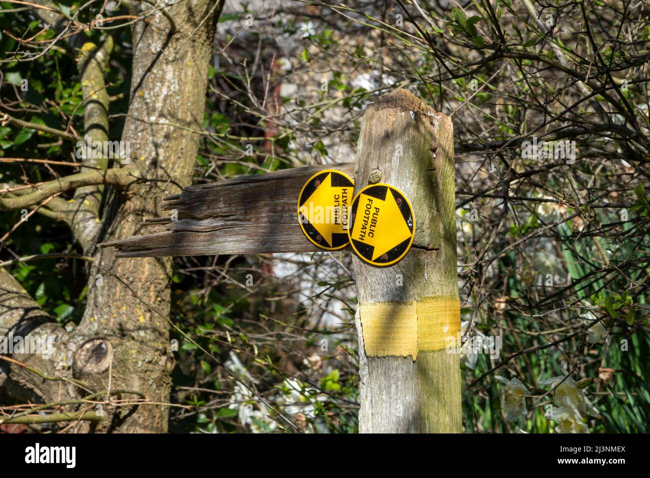 A decayed footpath post that has its missing and broken wooden directional arms replaced by plastic sign discs with directional arrows left and right Stock Photo