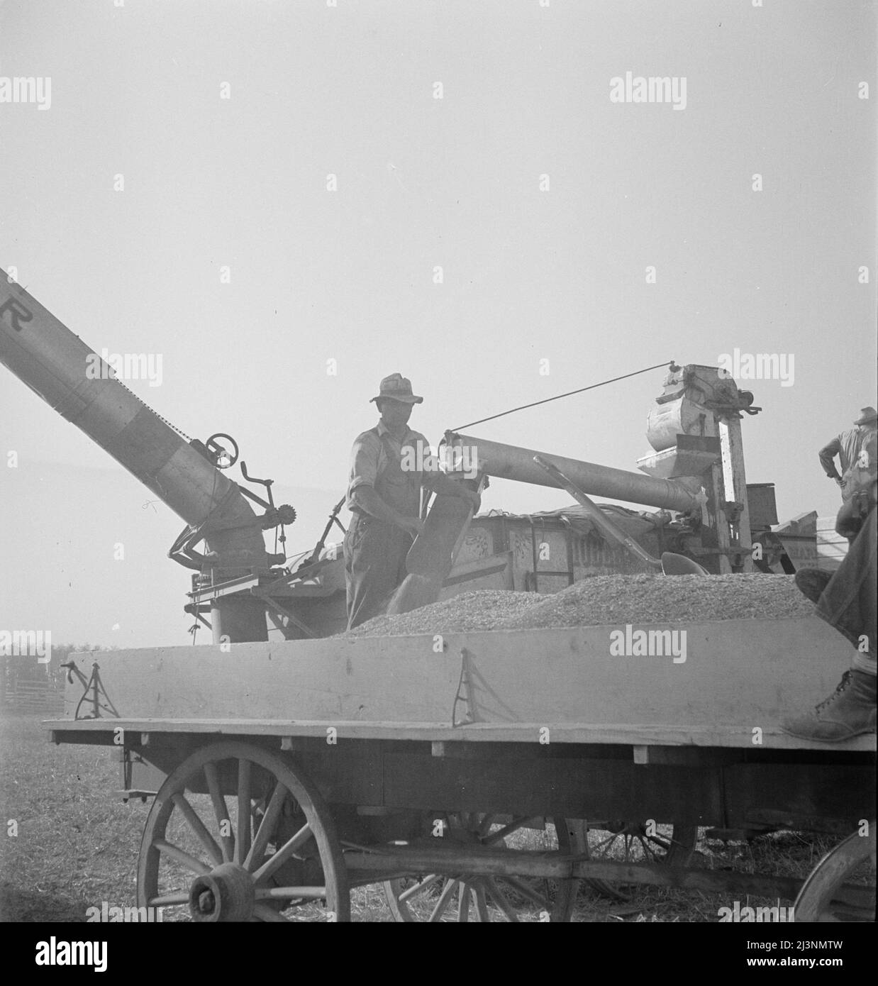 Threshing of oats. Clayton, Indiana, south of Indianapolis Stock Photo