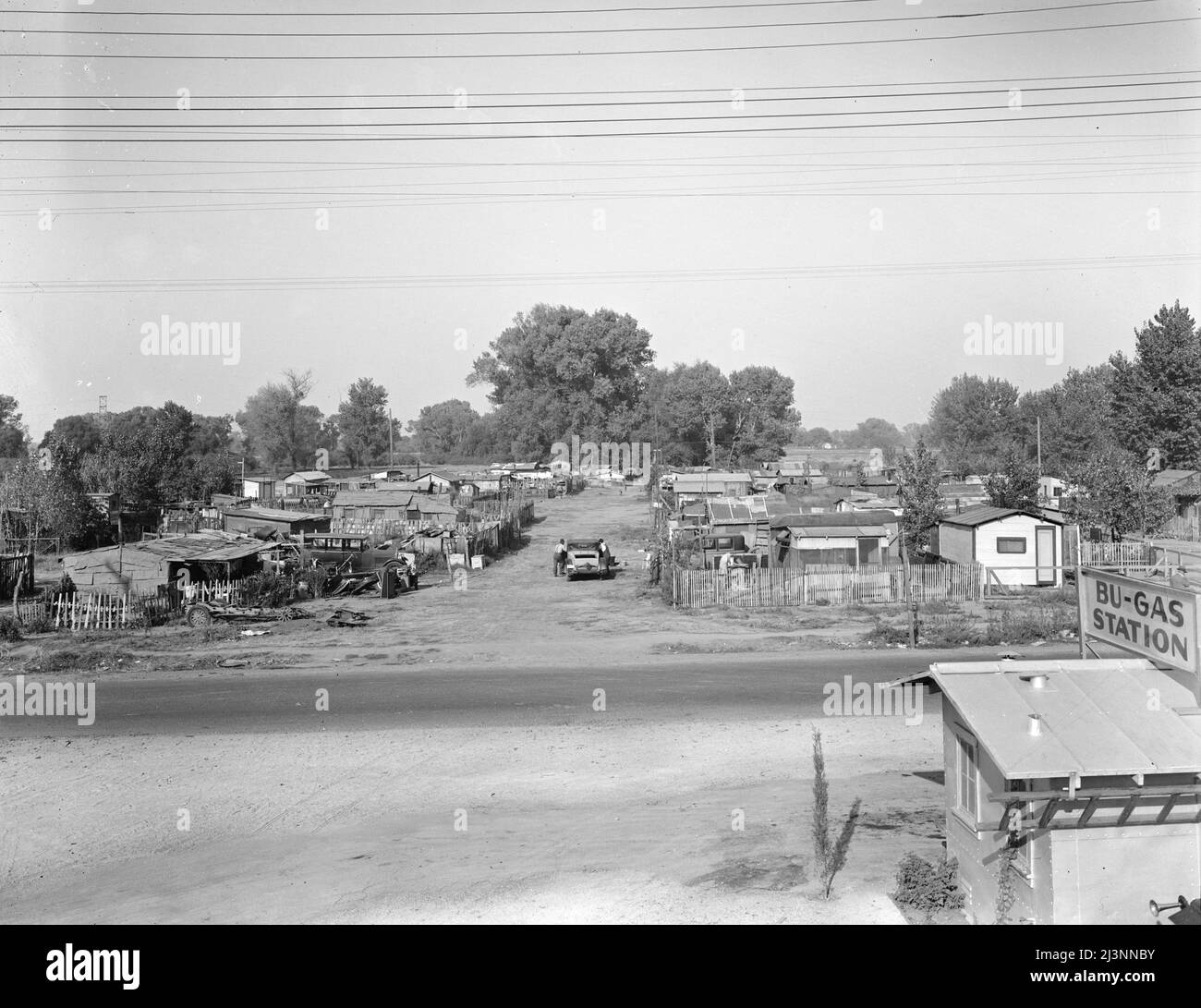 Migrant winter camp on outskirts of Sacramento, California. Eighty families, build their own shacks, pay one dollar and twenty-five cents a month ground rent which includes water. One half-mile from American River camp. Stock Photo